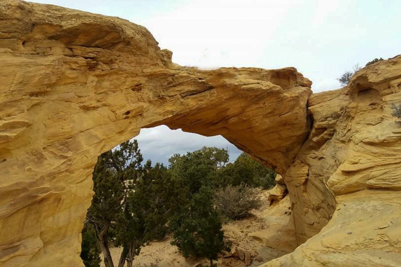 Rim Village O4 موآب المظهر الخارجي الصورة